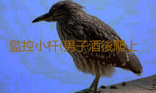 監控小杆(男子酒後爬上監控杆:不給3000萬不下來)