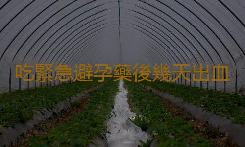 吃緊急避孕藥後幾天出血?注意事項有哪些