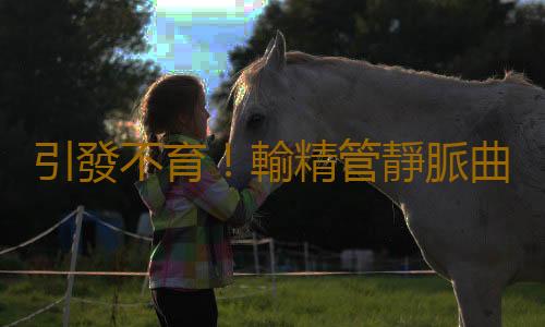 引發不育!輸精管靜脈曲張三大影響